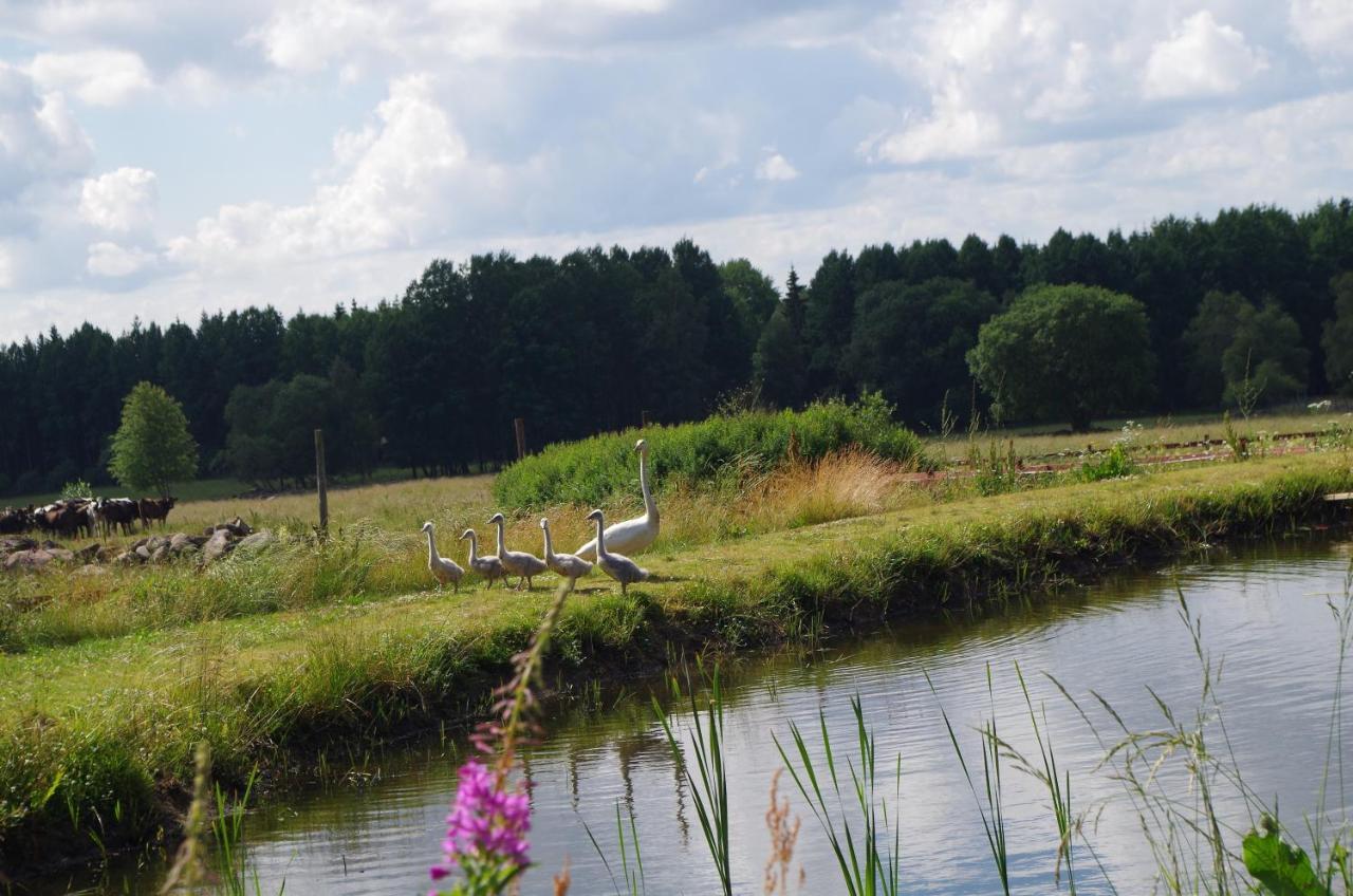 Ekereds Gardsstuga Dalstorp Dış mekan fotoğraf